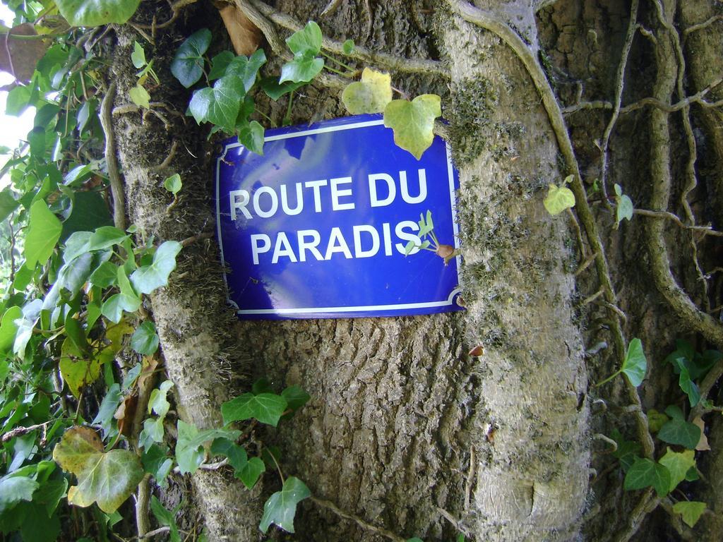 Gite Les Mineurs Zottegem Eksteriør bilde